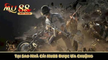 Por que o 345vip é tão popular?